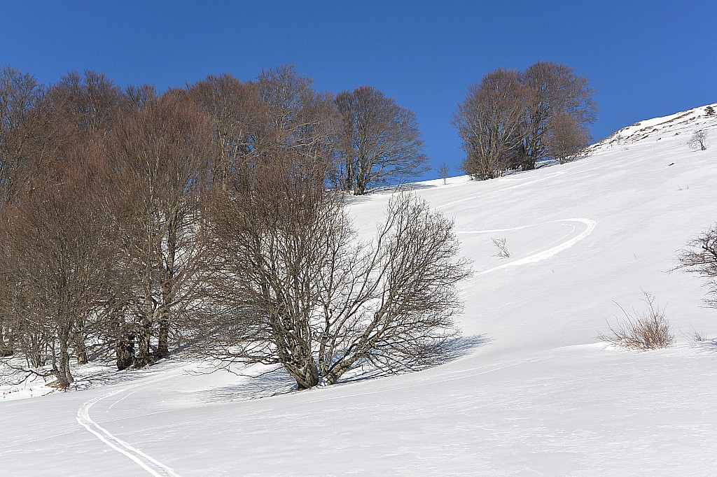 Descente SW : Bucolique...