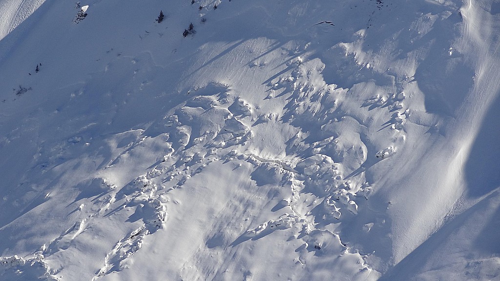 Arlicots : Glacier des Arces