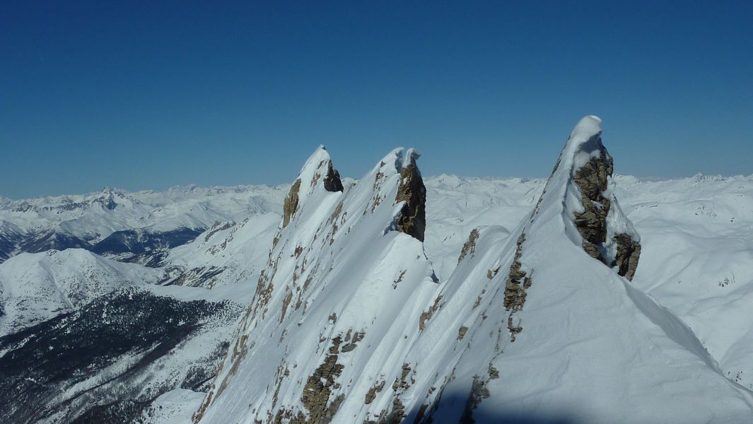 dentelle : jolies aiguilles acerées