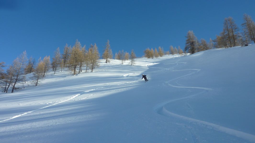 #23 Melezin : une neige fabuleuse Melezin : une neige fabuleuse