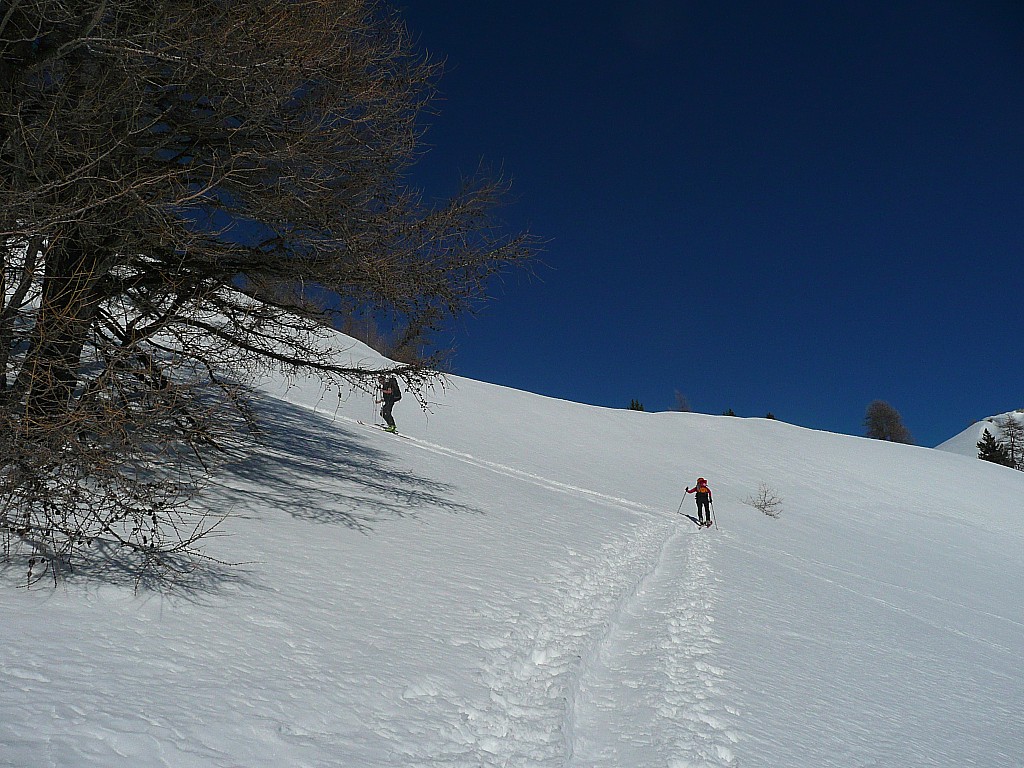 #9 dimanche : montée vers le col de la Cayolle dimanche : montée vers le col de la Cayolle
