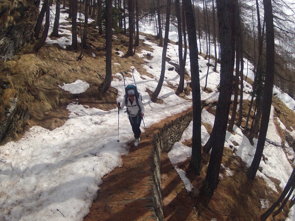 #2 Gran Paradiso : Début de portage dans la forêt Gran Paradiso : Début de portage dans la forêt
