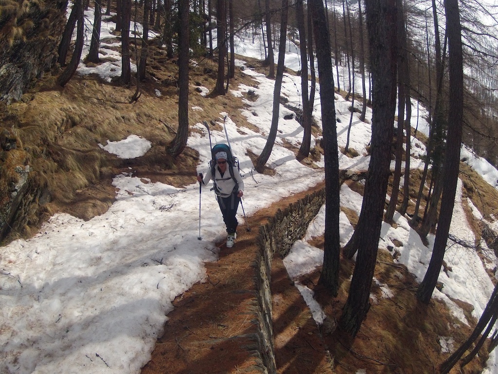 Gran Paradiso : Début de portage dans la forêt