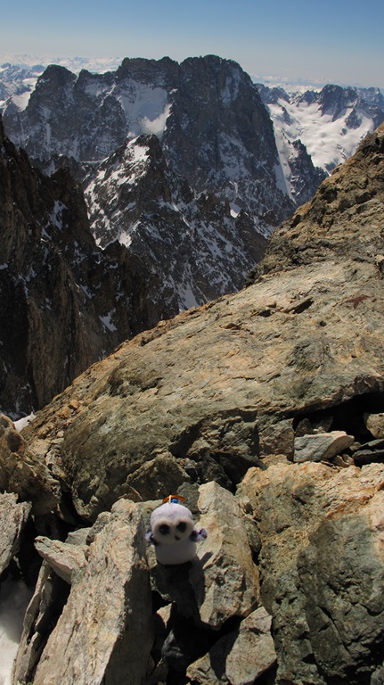 #15 Huguette : Première partie de la migration réussie sans bobos pour la p Huguette : Première partie de la migration réussie sans bobos pour la p'tite chouette qui a bien essayé de battre des ailes pour alléger le sac dans les pas chauds (sans succès :p )