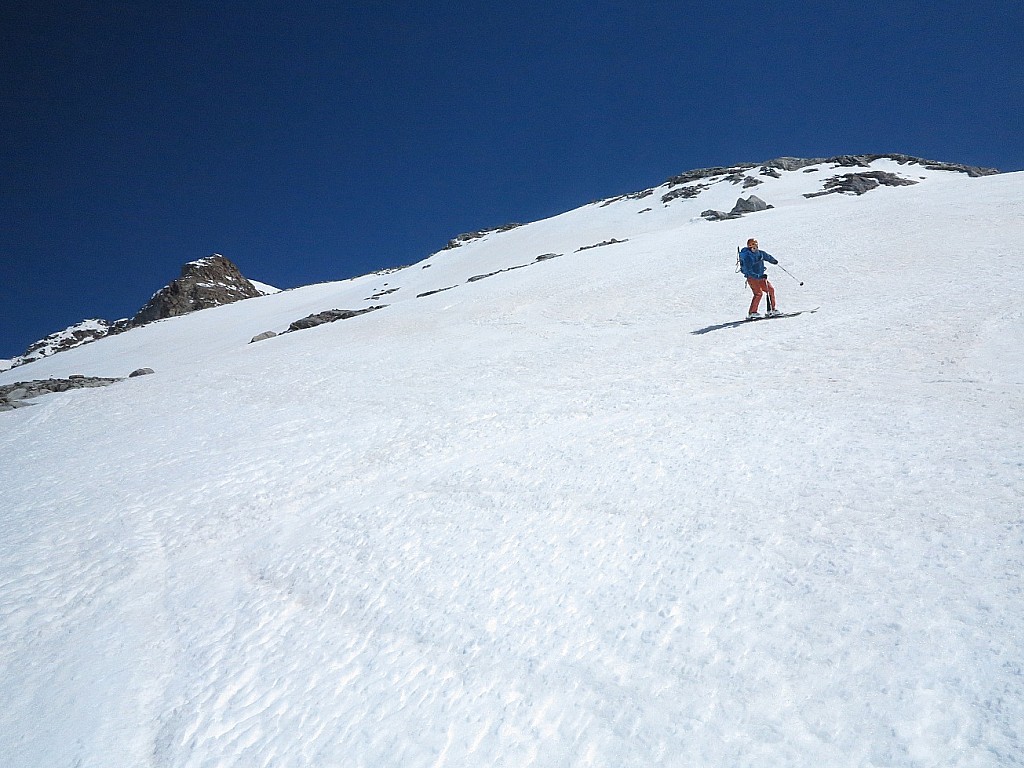 #17 Votre serviteur : profite de sa première moquette! Votre serviteur : profite de sa première moquette!