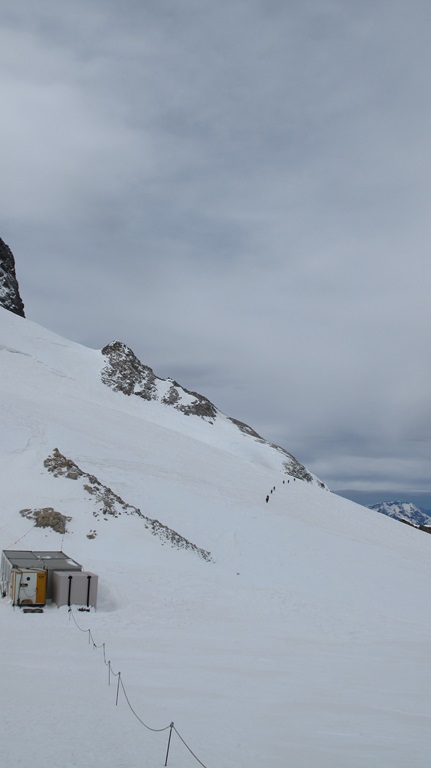 Aigle : Par la voie des air on a dépassé le reste de la famille qui arrive juste