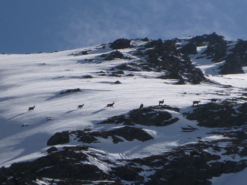 #2 Harde : finalement très fréquenté ce vallon ! Harde : finalement très fréquenté ce vallon !