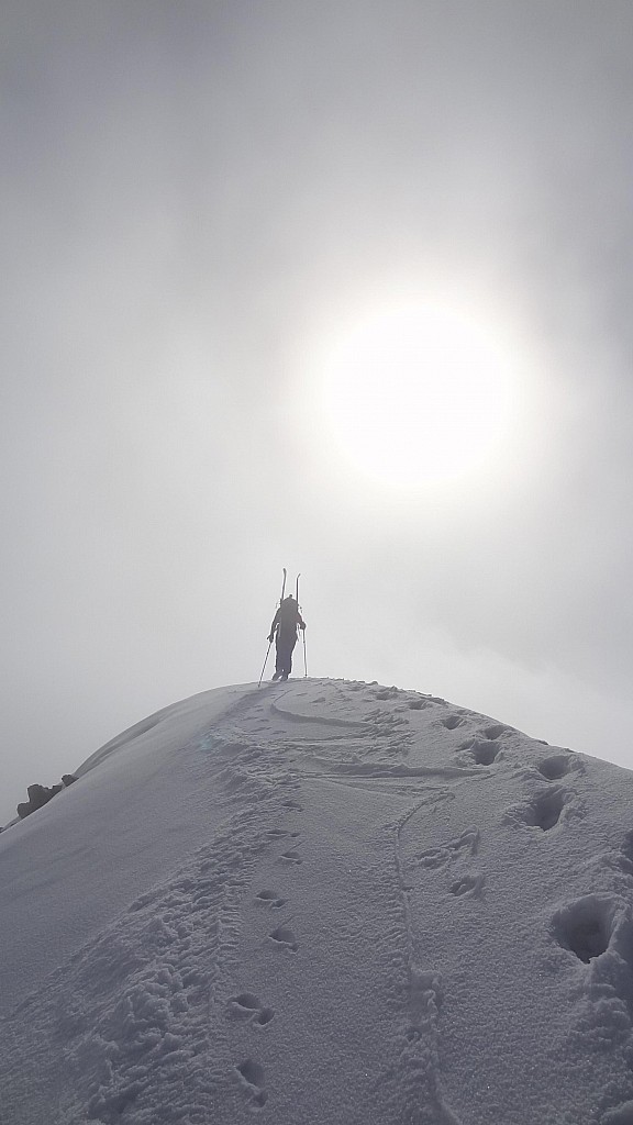 #5 Pointe Villonet : On repassera pour la vue Pointe Villonet : On repassera pour la vue