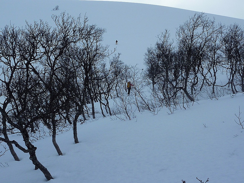 A partir de ce niveau : plus de végétation