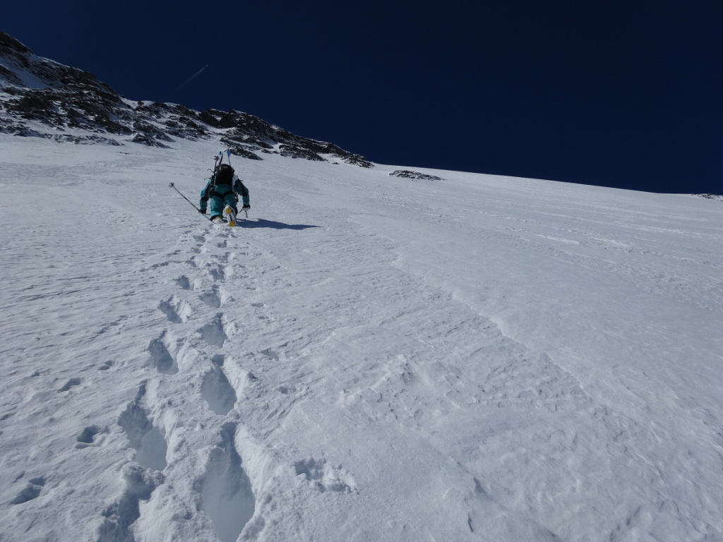#4 Dans la petite face Nord : Gaga à la trace Dans la petite face Nord : Gaga à la trace