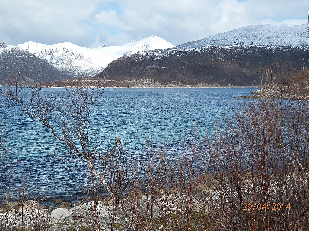 Vers le Nord du : Sifjorden