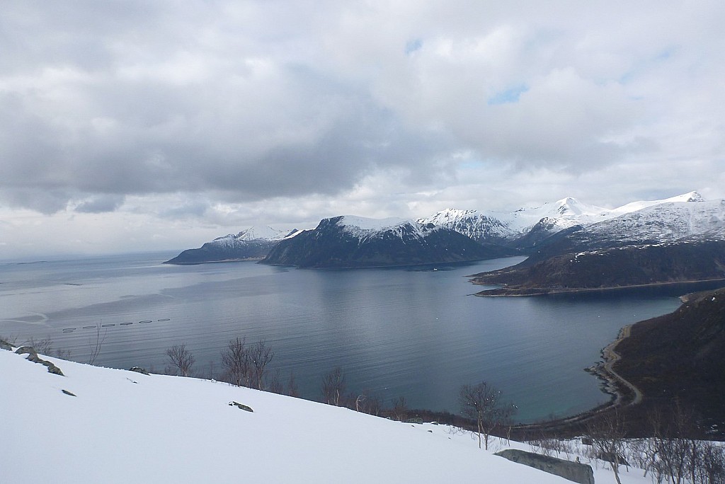 Grand ski face au : Sifjorden