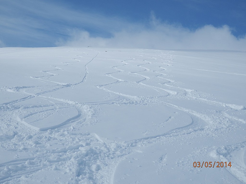 #13 Grand ski sur ce petit : sommet Grand ski sur ce petit : sommet