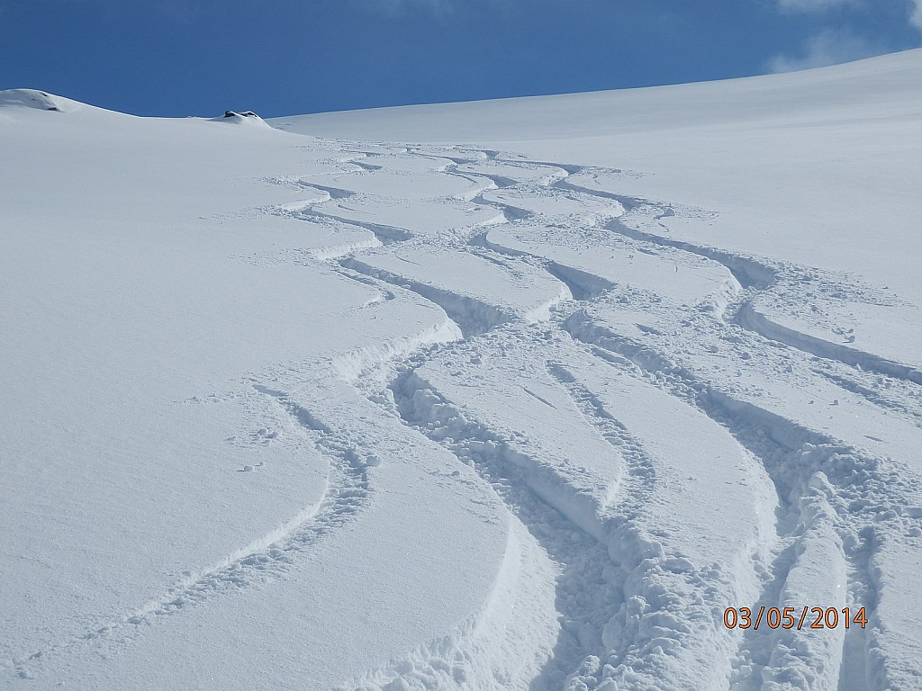 Du très grand ski dans cette : poudreuse de qualité hivernale