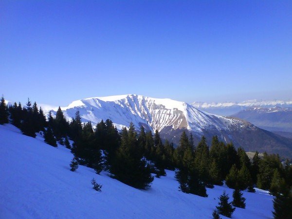 #2 depuis la cote des salières : vue sur l alpe du grand serre depuis la cote des salières : vue sur l alpe du grand serre