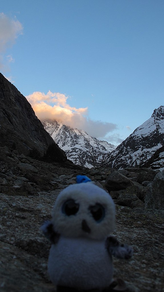 #1 Huguette : Ce qui est top avec Huguette, c Huguette : Ce qui est top avec Huguette, c'est qu'elle fait pas trop de bruit! :)