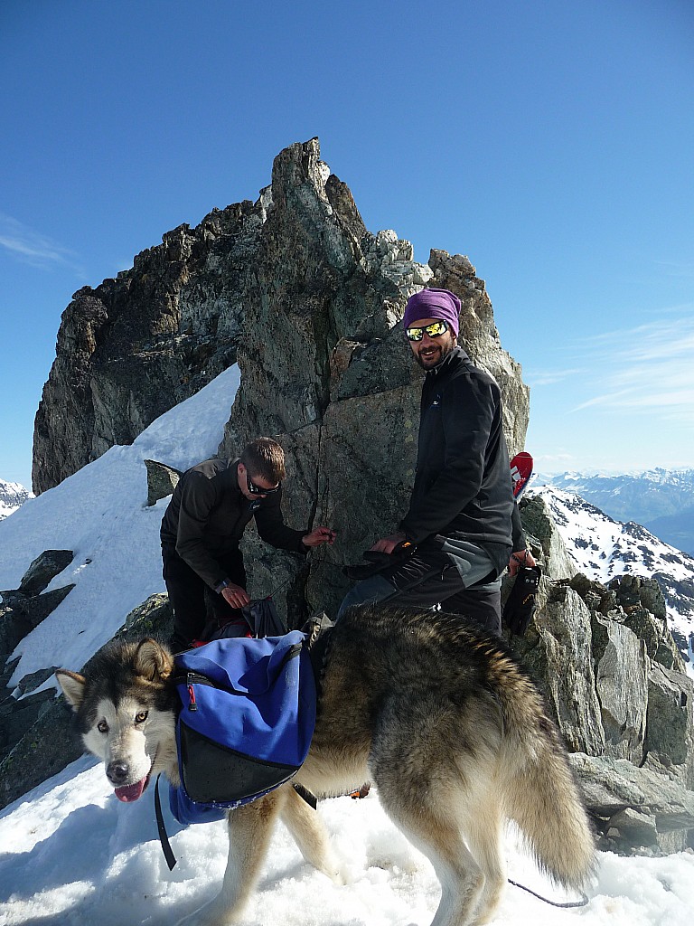 Kanuck : "Kanuk le chien" à la brèche du chien