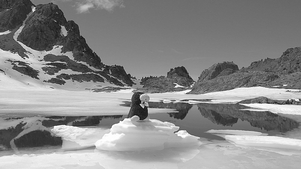 #5 Momo le Morse : Greenpeace vous ment!! Le réchauffement climatique est un mythe!! La preuve il y a des morses aux lacs roberts, faut être objectifs :D Momo le Morse : Greenpeace vous ment!! Le réchauffement climatique est un mythe!! La preuve il y a des morses aux lacs roberts, faut être objectifs :D