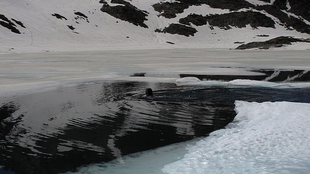 #7 Roberts : Une piscine scandinave :p Roberts : Une piscine scandinave :p