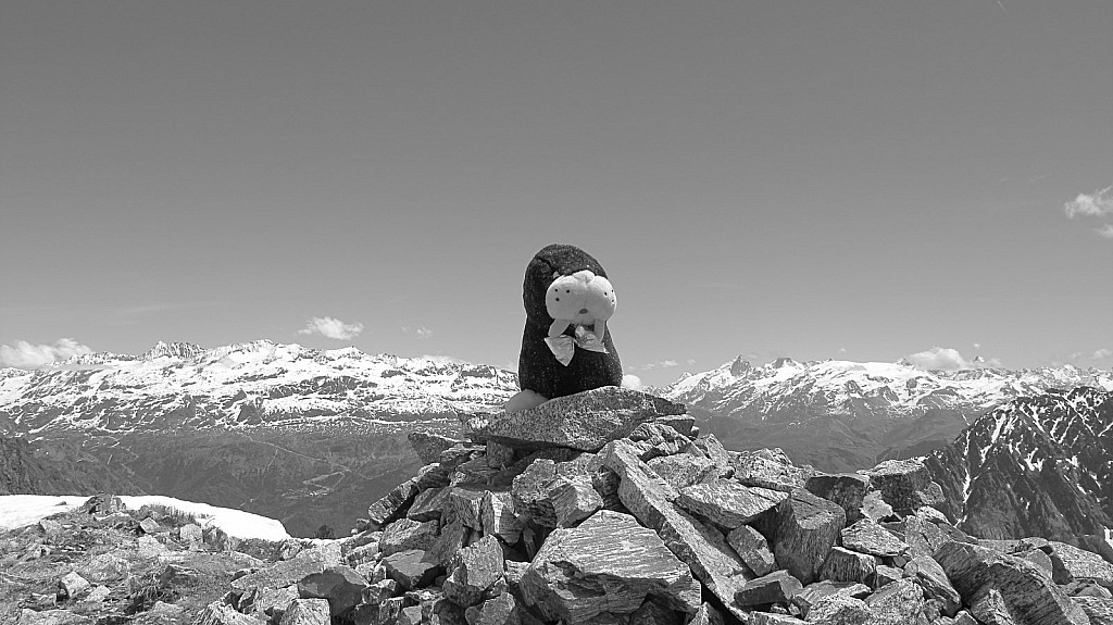 #2 Momo le Morse : Momo le Morse découvre la Meije et l Momo le Morse : Momo le Morse découvre la Meije et l'Etendard :)