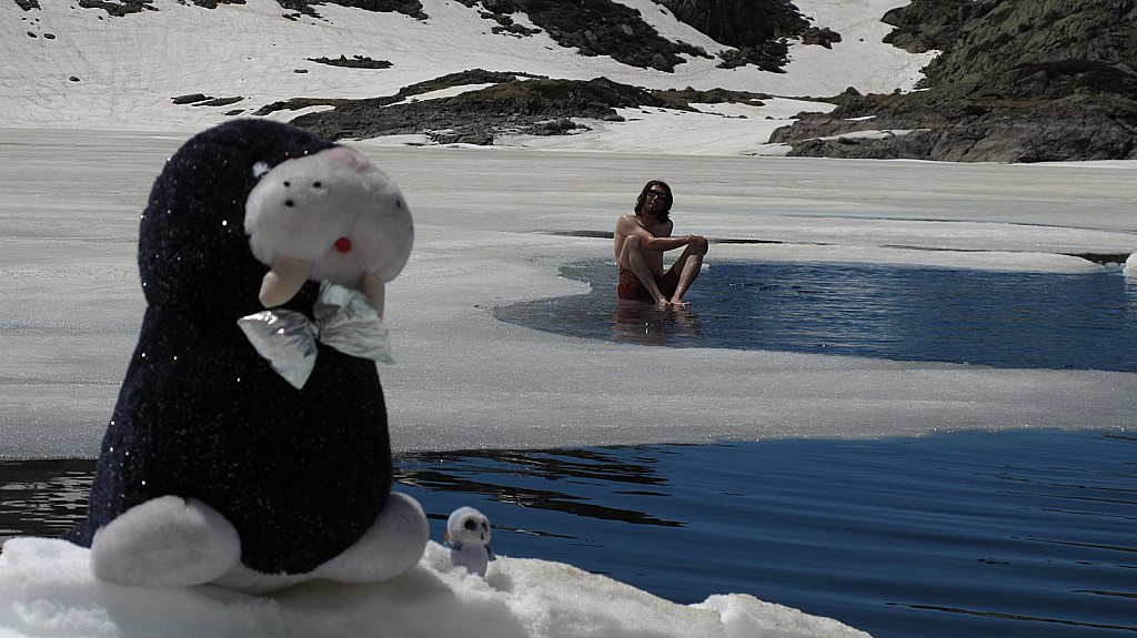 #8 Momo le Morse : C Momo le Morse : C'est sympa la plage version Arctique ;p