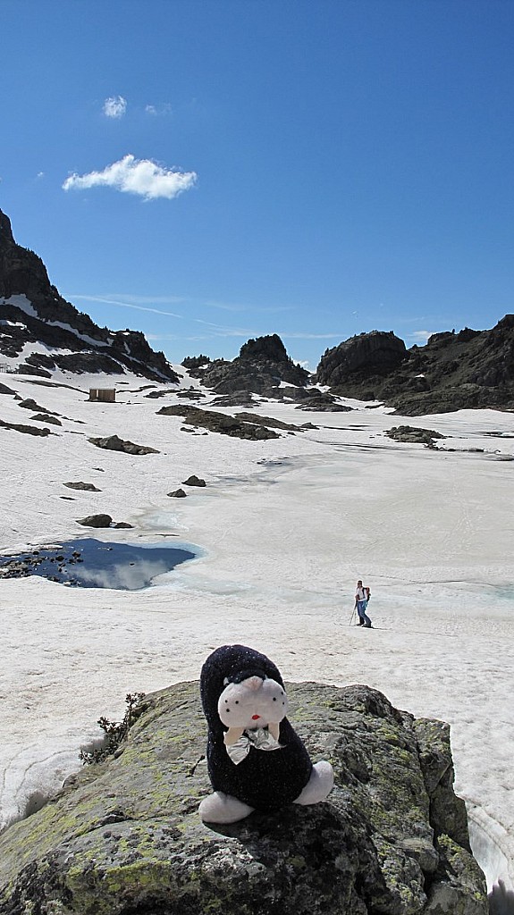 #12 Momo le Morse : Un dernier souvenir pour Momo avant d Momo le Morse : Un dernier souvenir pour Momo avant d'aller se faire câliner par Chacha et Justine :)