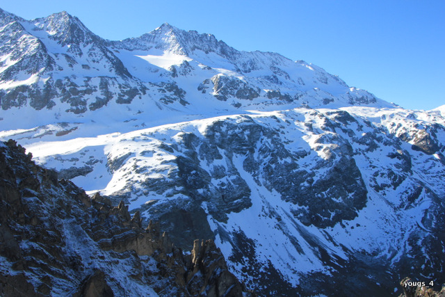 #3 Aiguillettes et Etendard Aiguillettes et Etendard