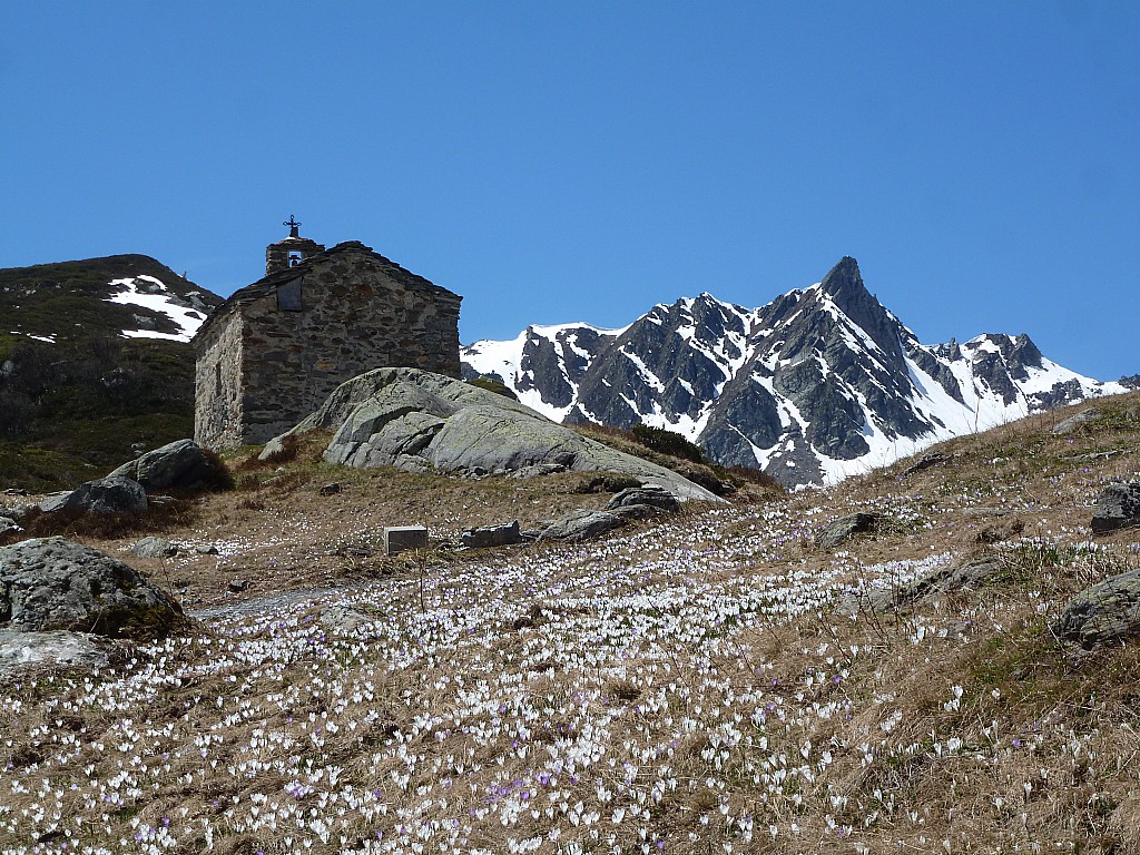 #27 Plan de la Sassière : La chapelle, témoignage de la foi humble de nos anciens Plan de la Sassière : La chapelle, témoignage de la foi humble de nos anciens