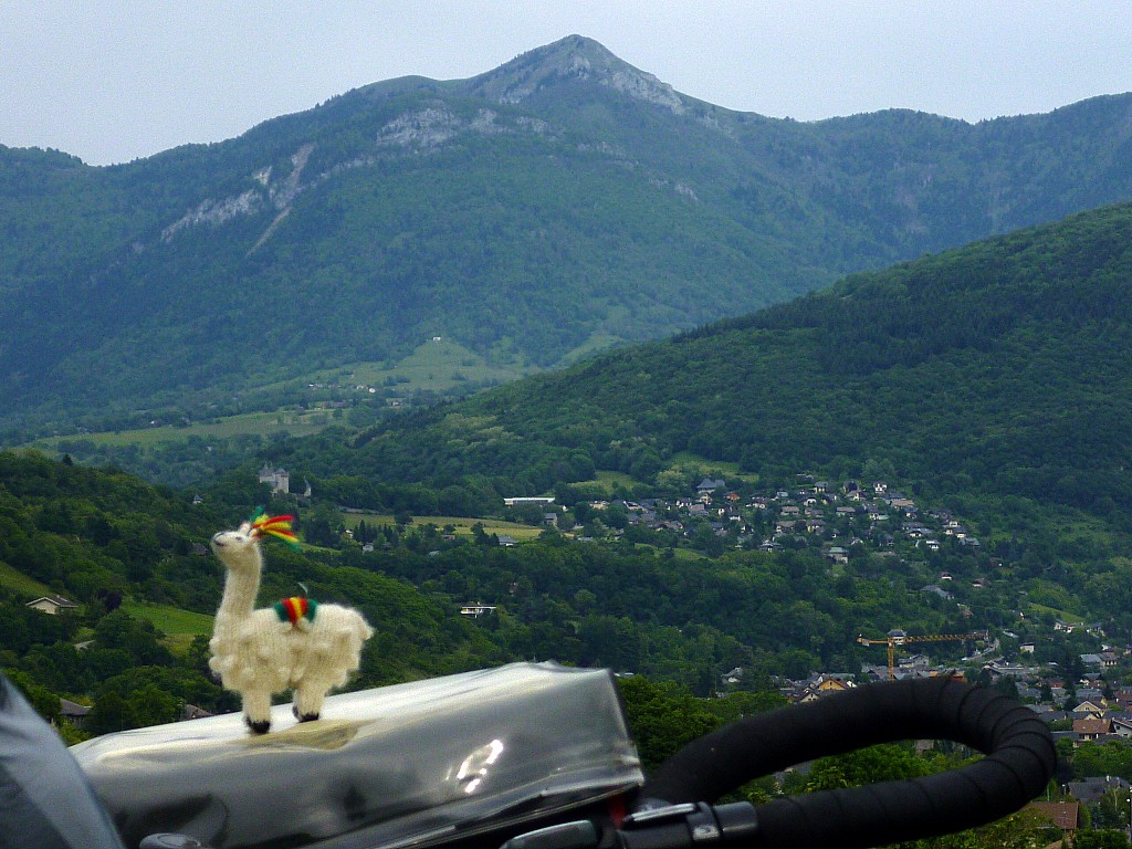 retour à la maison : prochain objectif en vélo-ski: j'attends la neige en Bauge pour y emmener mon lama. Une galoppaz arrosée de genepi, y'a que ça de vrai!!!!