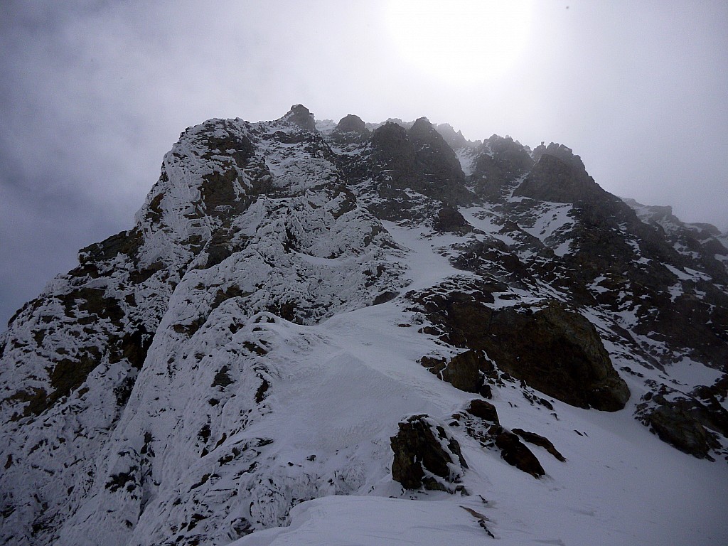 aiguille des glaciers : c'est dommage de ne pas monter là haut mais je n'ai ni corde, ni piolet.... Bon OK, c'est pas sage!