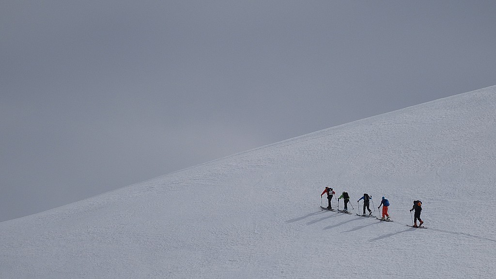 nuances de blanc