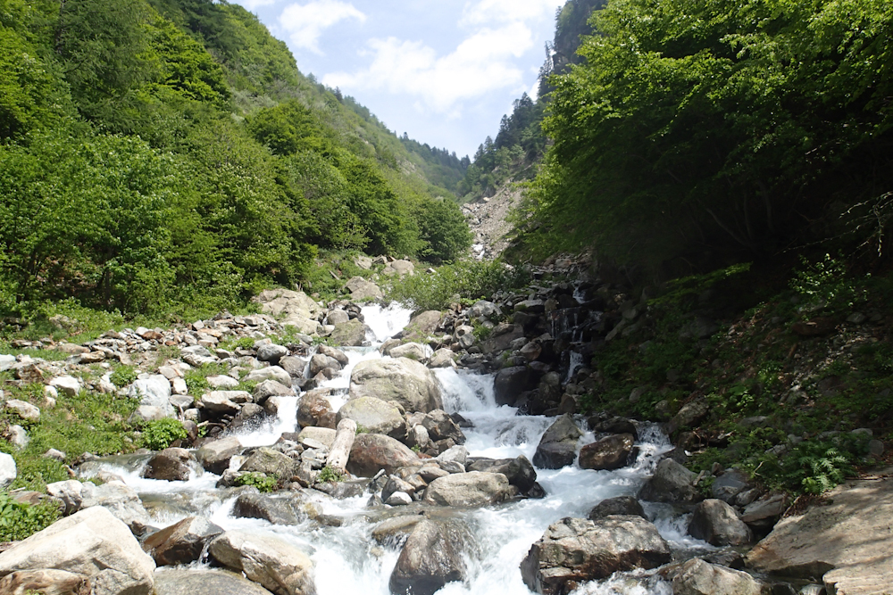 #12 Torrent : gonflé par la fonte Torrent : gonflé par la fonte