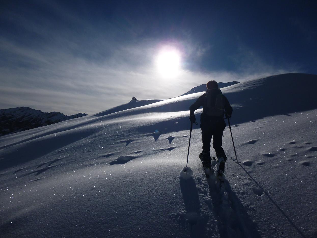 #2 la trace : malgré la belle épaisseur de neige on ne s la trace : malgré la belle épaisseur de neige on ne s'enfonce pas baucoup!