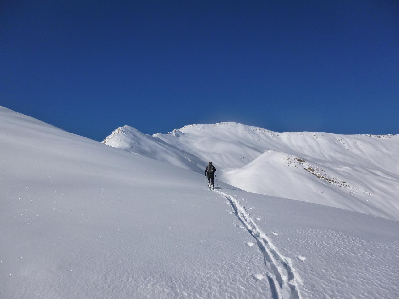 #3 fredo : il fait sa part du travail fredo : il fait sa part du travail