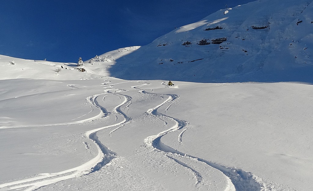 #5 Merdassier : Milieu. Merdassier : Milieu.