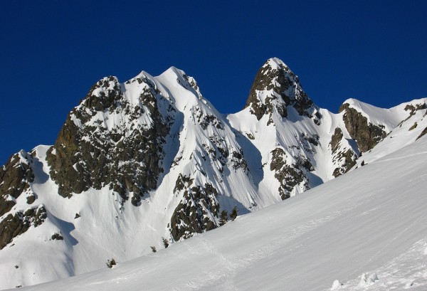#2 Le gros Treu : Toujours aussi beau ce gros Treu. Le gros Treu : Toujours aussi beau ce gros Treu.