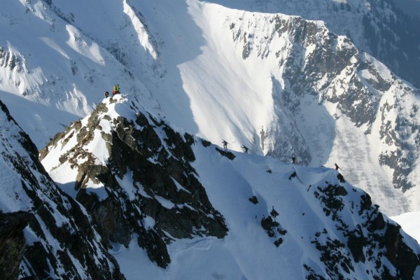 #3 vus du sommet : les mêmes chamois vus du sommet : les mêmes chamois