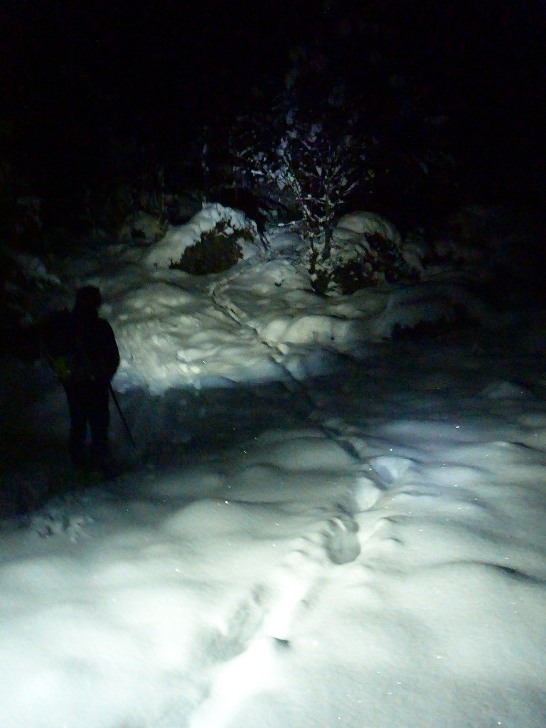 #4 Serait-ce mes traces de trois jours auparavant, ou des traces du dahut? Serait-ce mes traces de trois jours auparavant, ou des traces du dahut?