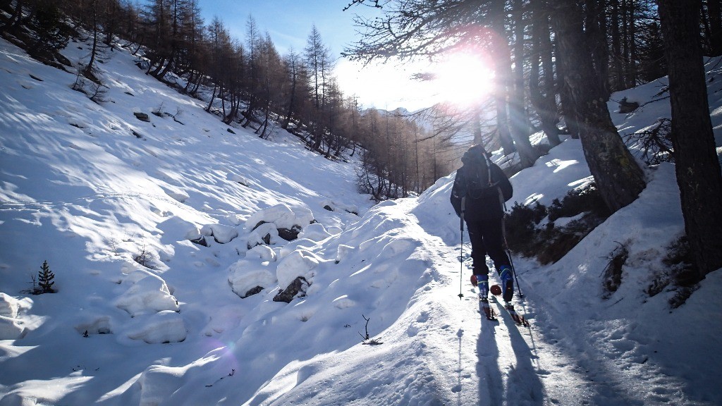 #1 Premiers rayons sur le vallon de Gorgias Premiers rayons sur le vallon de Gorgias