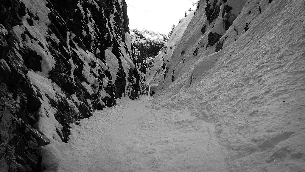 #9 Au coeur de la raie Au coeur de la raie