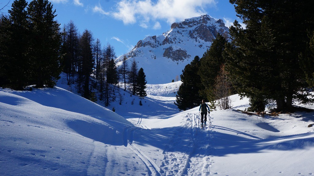 sortie du bois, vue sur le vallon