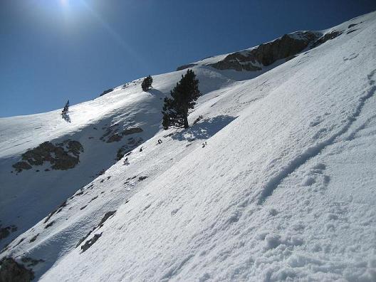 #4 descente : en principe les arbres sont à la verticale. descente : en principe les arbres sont à la verticale.