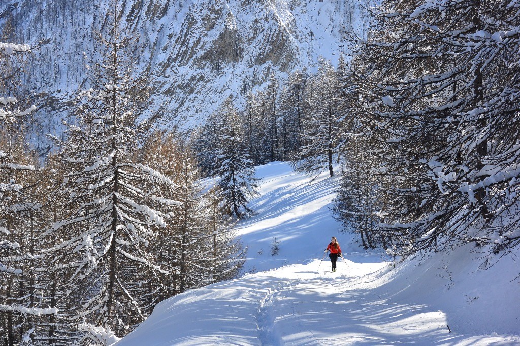 #11 Retour sur la piste. Retour sur la piste.