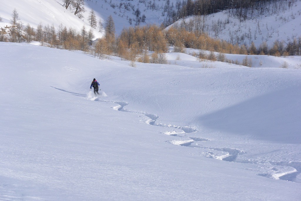 #7 Dans le vallon de l Dans le vallon de l'Infernet : mélèzes et peuf.