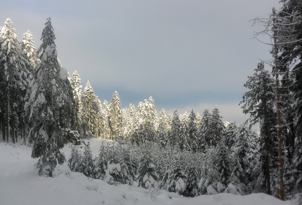 #5 Traversée en bas de bonnefond avant de monter vers bois grezé Traversée en bas de bonnefond avant de monter vers bois grezé