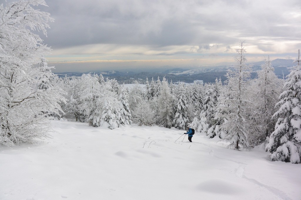 #8 Descente sud bois grezé: belle ambiance Descente sud bois grezé: belle ambiance