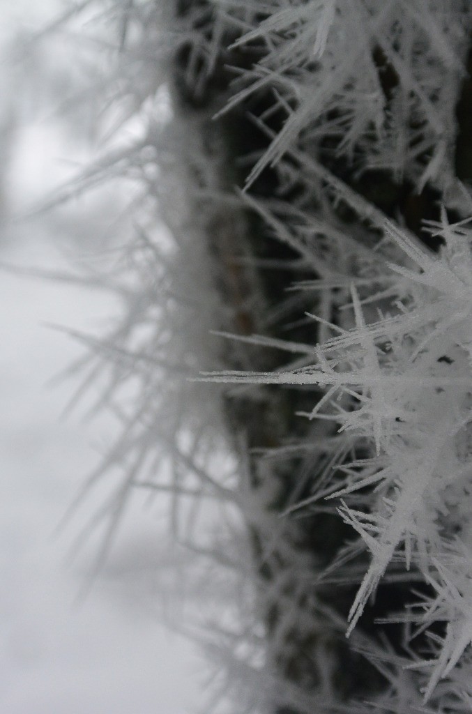 #2 Givre - PART 1 Givre - PART 1