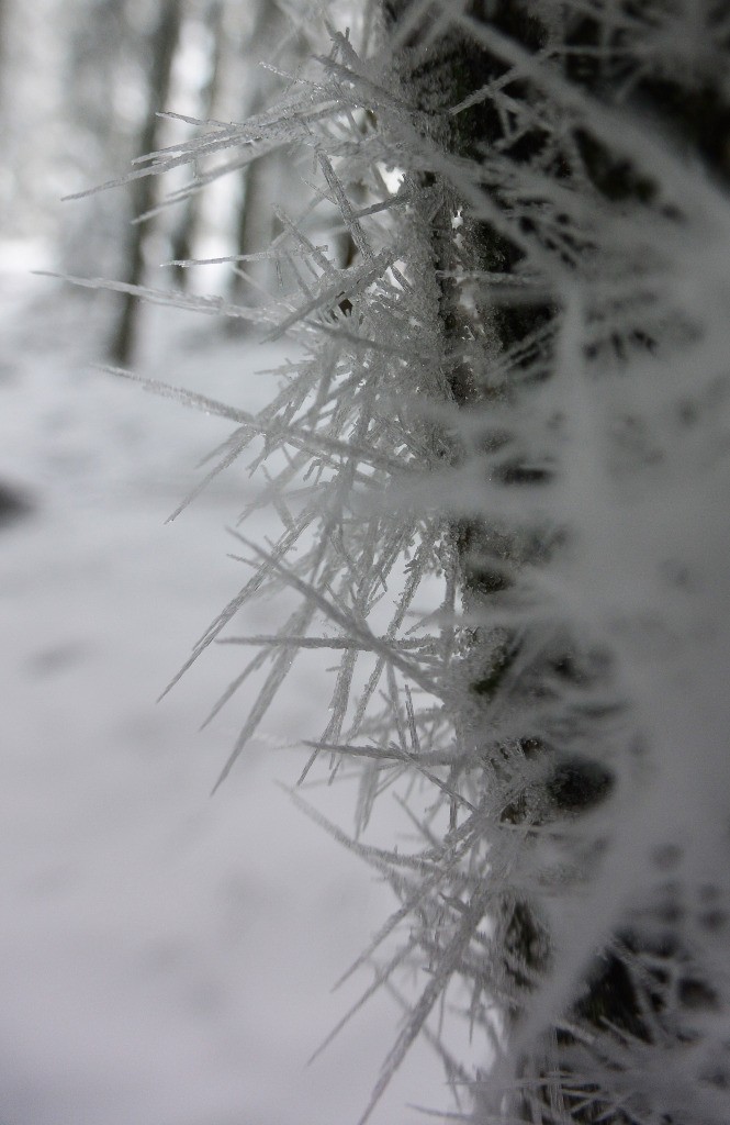 #3 Givre - PART 2 Givre - PART 2