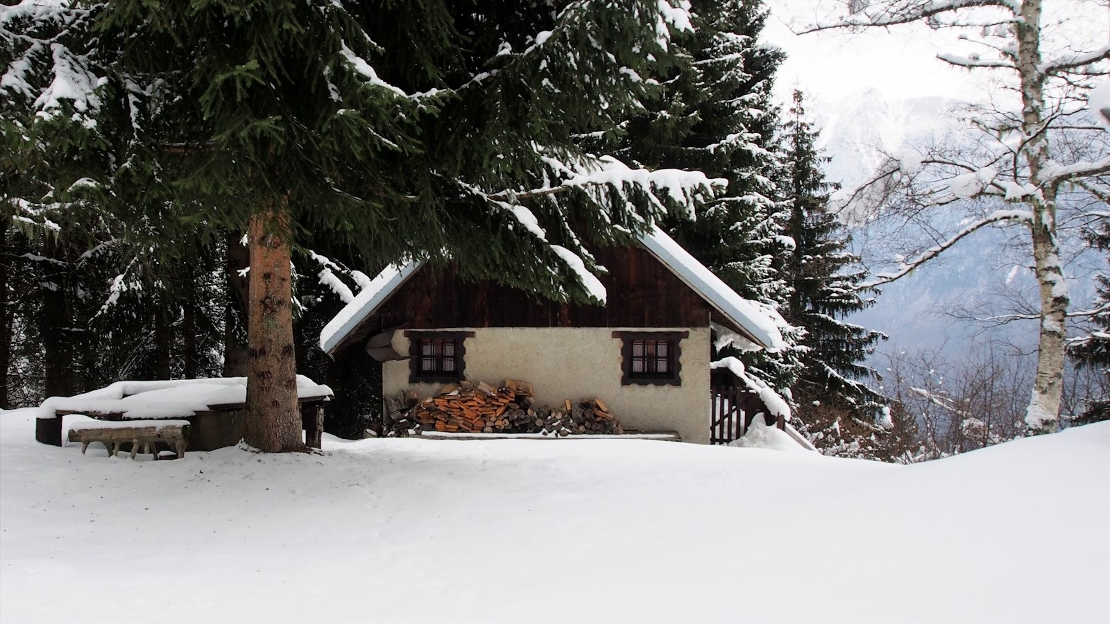 #23 "La maison de Blanche neige"
dixit David "La maison de Blanche neige"
dixit David