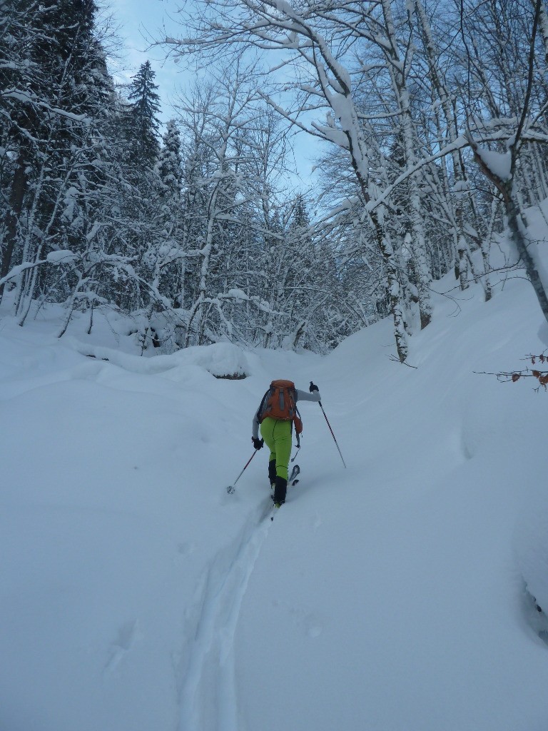 #5 Traçage des Eparres Traçage des Eparres